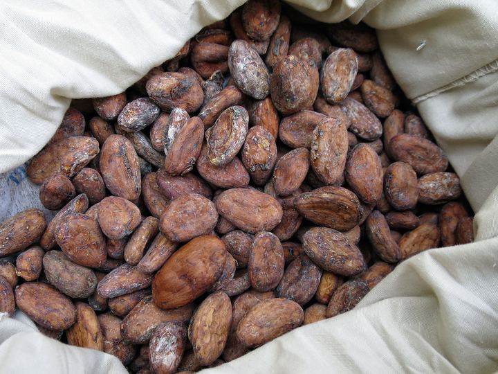 Chocolate and Health: What Science Says
