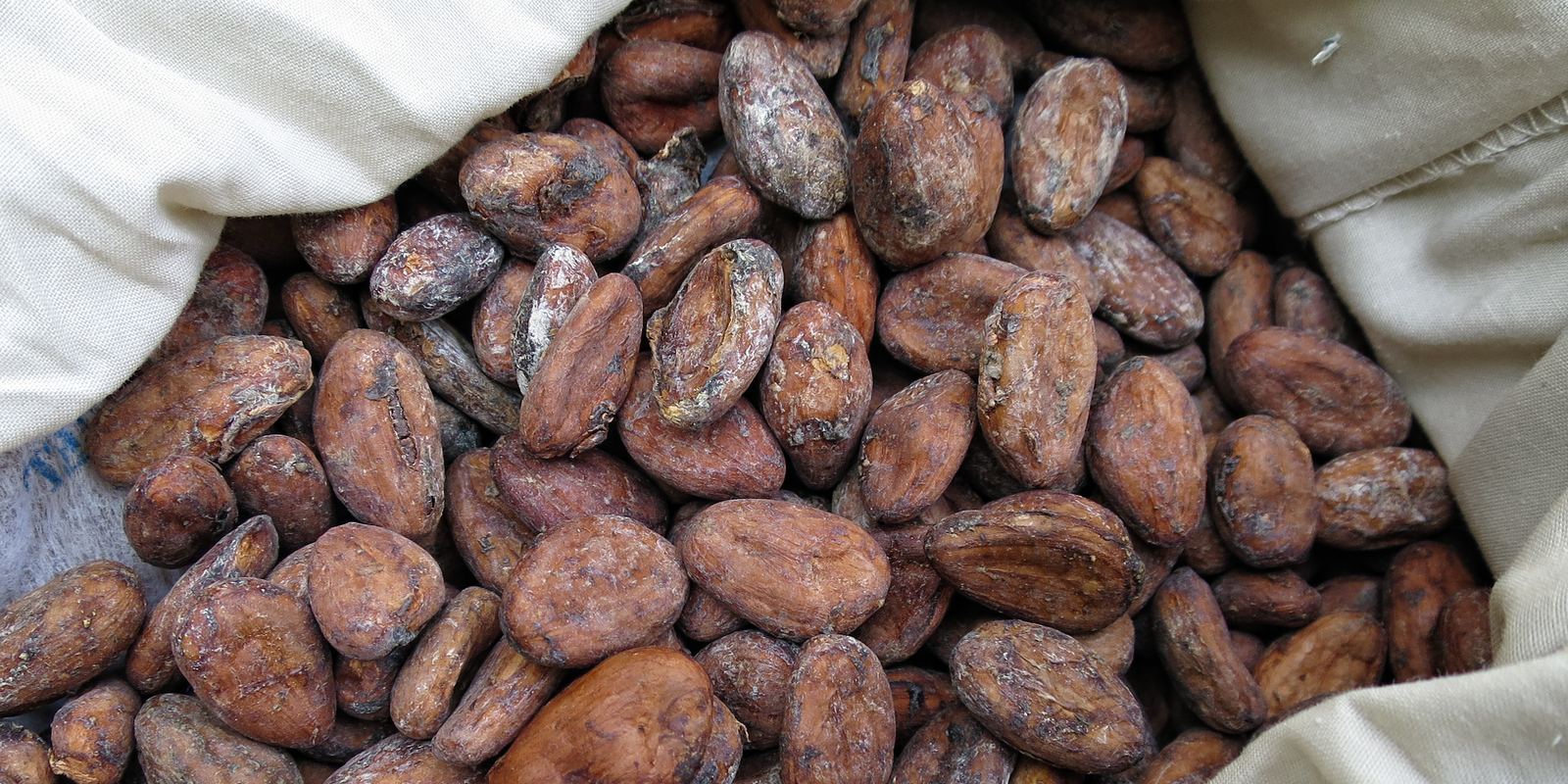 Roasted cocoa beans piled together